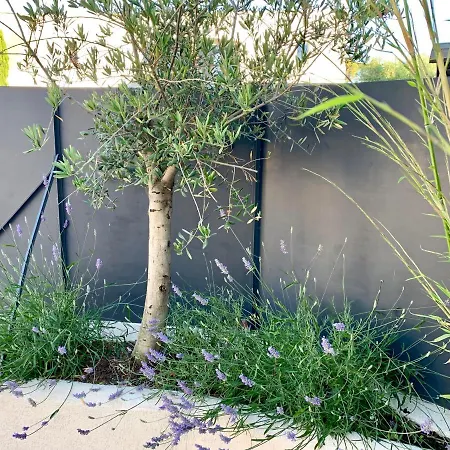 Appartement Le Semaphore