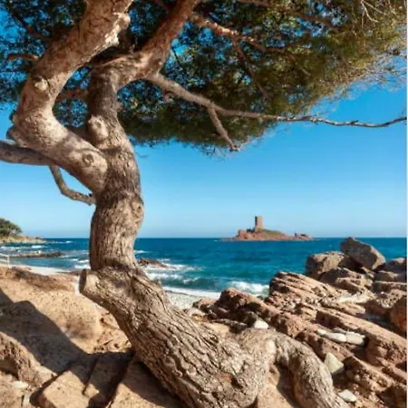 Le Semaphore Lägenhet *