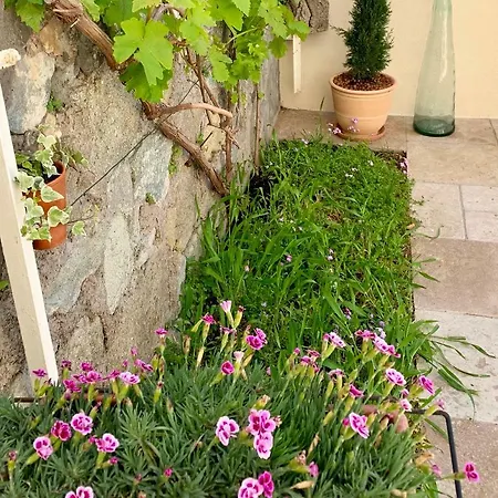 Apartment Le Semaphore Saint-Raphael (Var)