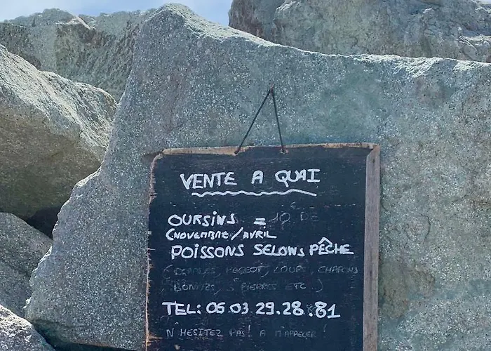 Le Semaphore 公寓 *