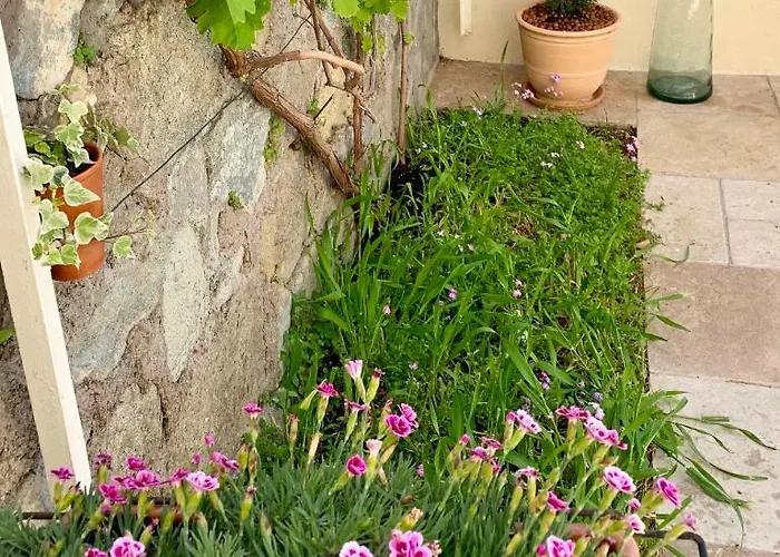 公寓 Le Semaphore Saint-Raphaël